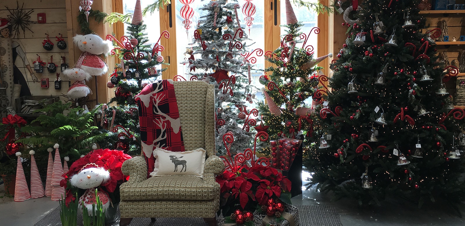 Santa visiting at Valley Flowers